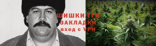 стафф Новодвинск