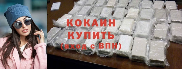 прущий лед Новозыбков