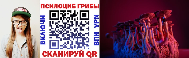 Псилоцибиновые грибы Psilocybine cubensis  даркнет сайт  blacksprut   Кузнецк 