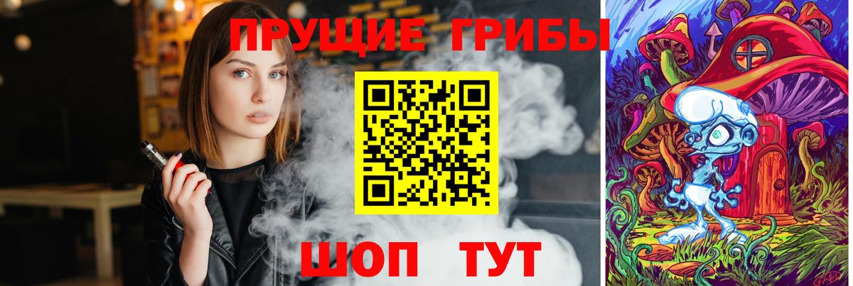 Галлюциногенные грибы Psilocybe Кузнецк