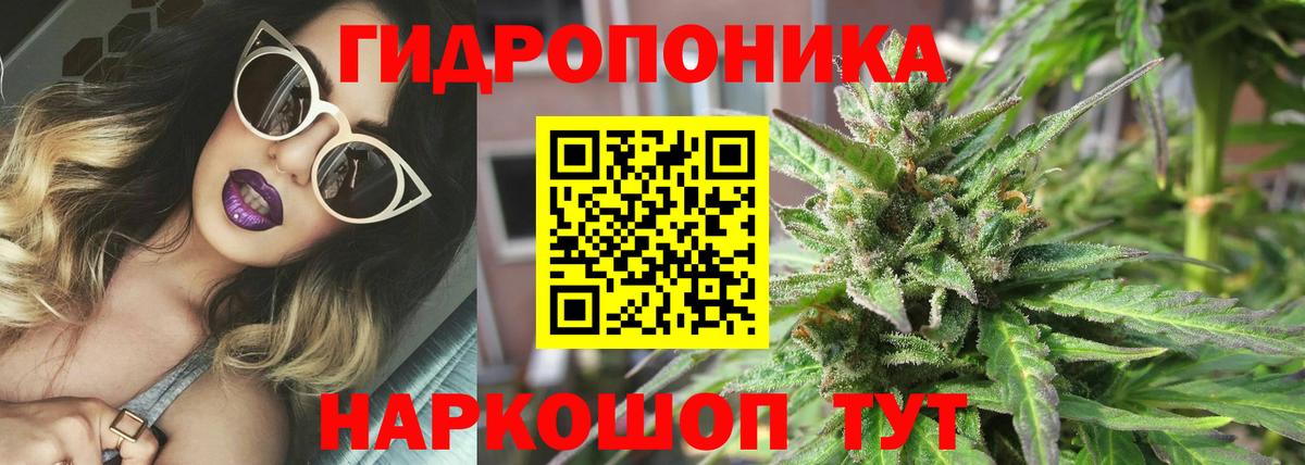 Конопля план Кузнецк